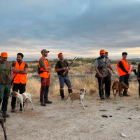 La caza deportiva extremeña brilla en las fases provinciales del Campeonato de Caza Menor con Perro La caza deportiva extremeña brilla en las fases provinciales del Campeonato de Caza Menor con Perro