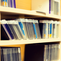 El cine de la Filmoteca de Extremadura: temas para este noviembre