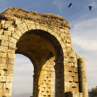 Expertos alemanes en el Camino de Santiago conocen la Vía de la Plata Expertos alemanes en el Camino de Santiago conocen la Vía de la Plata