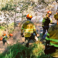 La Junta garantiza que ningún bombero forestal perderá su plaza La Junta garantiza que ningún bombero forestal perderá su plaza