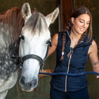 Extremadura destina 100.000 € en ayudas a la cría y doma de caballos de silla Extremadura destina 100.000 € en ayudas a la cría y doma de caballos de silla