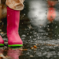El temporal pone en alerta los centros educativos de Extremadura El temporal pone en alerta los centros educativos de Extremadura