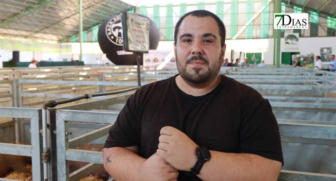 Zafra en el punto de mira nacional gracias a su Feria Internacional Ganadera