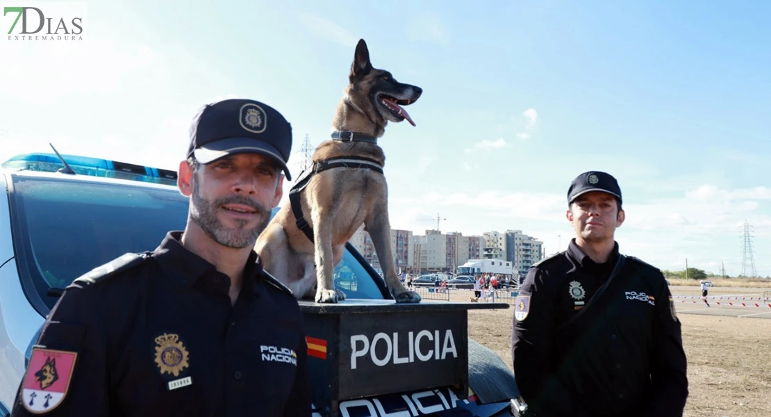 Imágenes del VIII Cross Solidario 091 en Badajoz