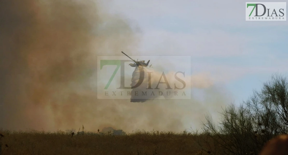 Incendio forestal entre Villafranco del Guadiana y Alvarado en el término municipal de Badajoz