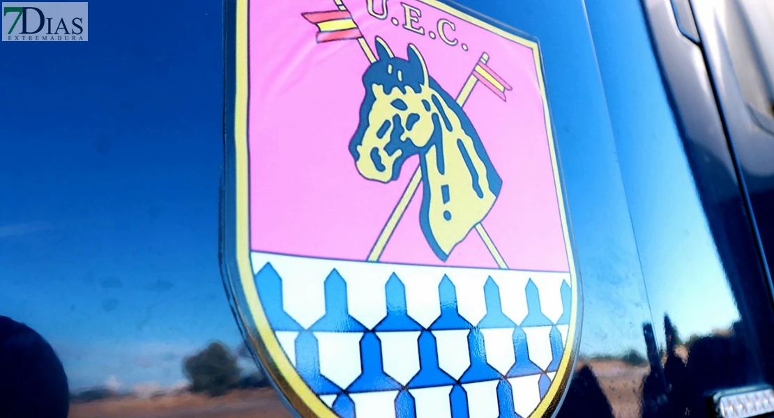 Imágenes del VIII Cross Solidario 091 en Badajoz