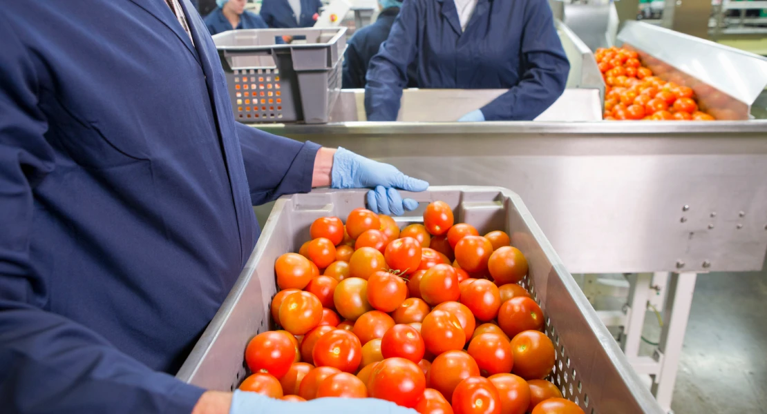 Destinan 28 M€ en ayudas para modernizar la transformación agrícola