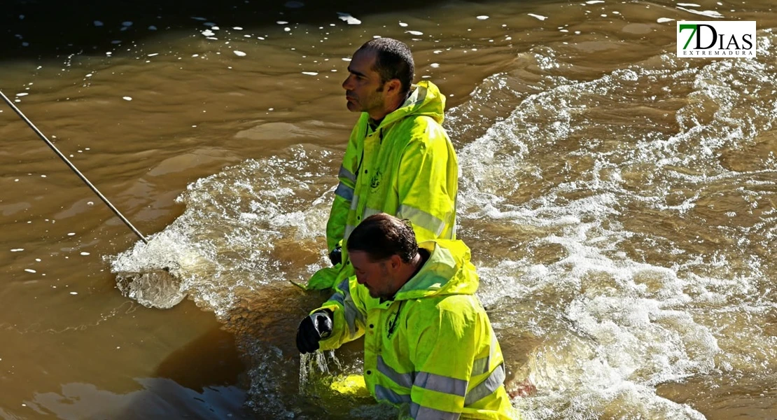 Así han sido las duras prácticas de rescate de ASPEX Y Bomberos de Badajoz