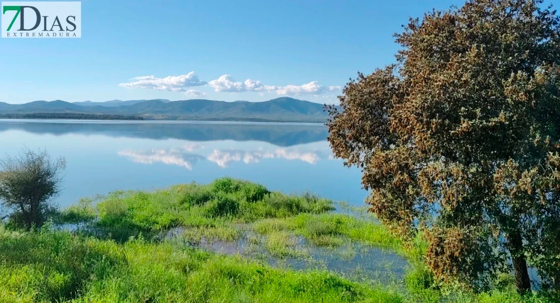 Alerta en los embalses del Tajo: el mejillón cebra avanza y obliga a endurecer los controles