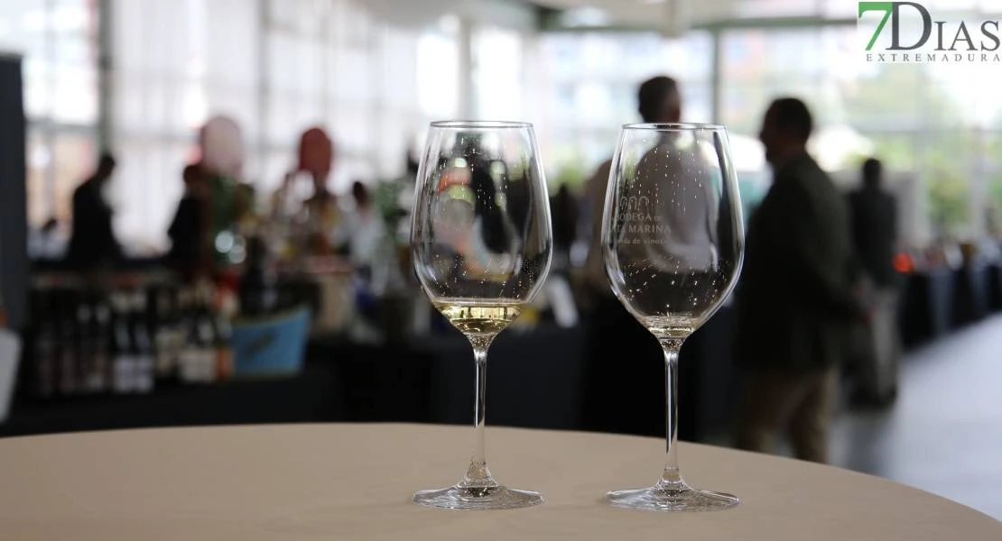 El mundo del vino unido por la solidaridad en el Hotel Río