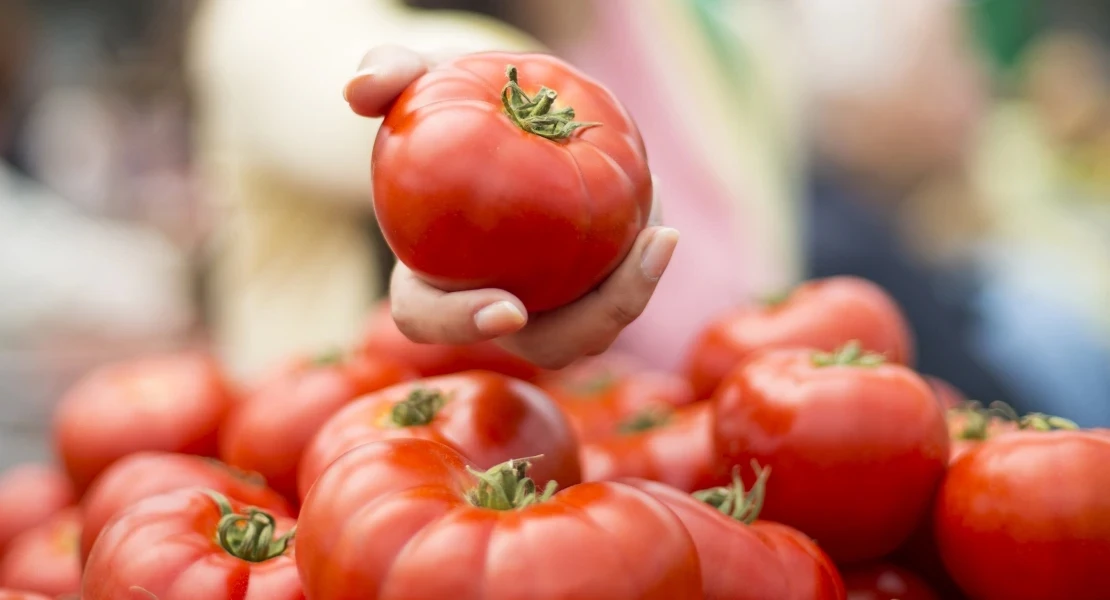 Amenaza para el tomate extremeño: El PP se queda solo en la UE