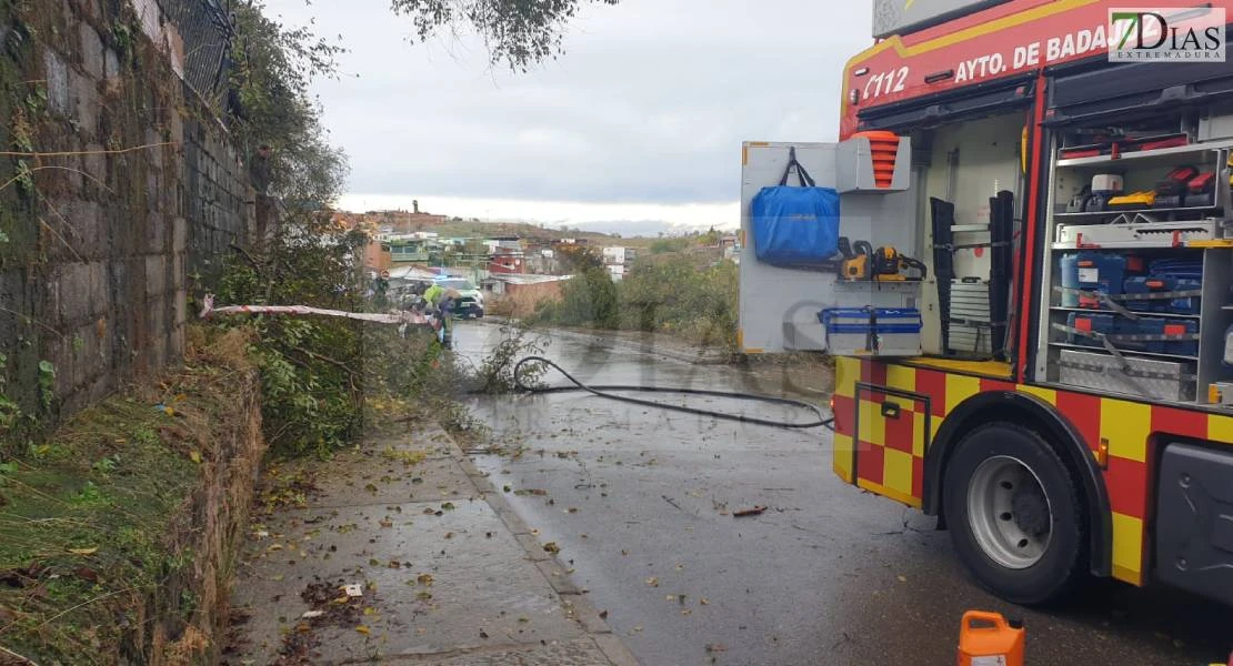 Dos enormes ramas de árboles caen sobre una furgoneta en Las 800 y causan destrozos