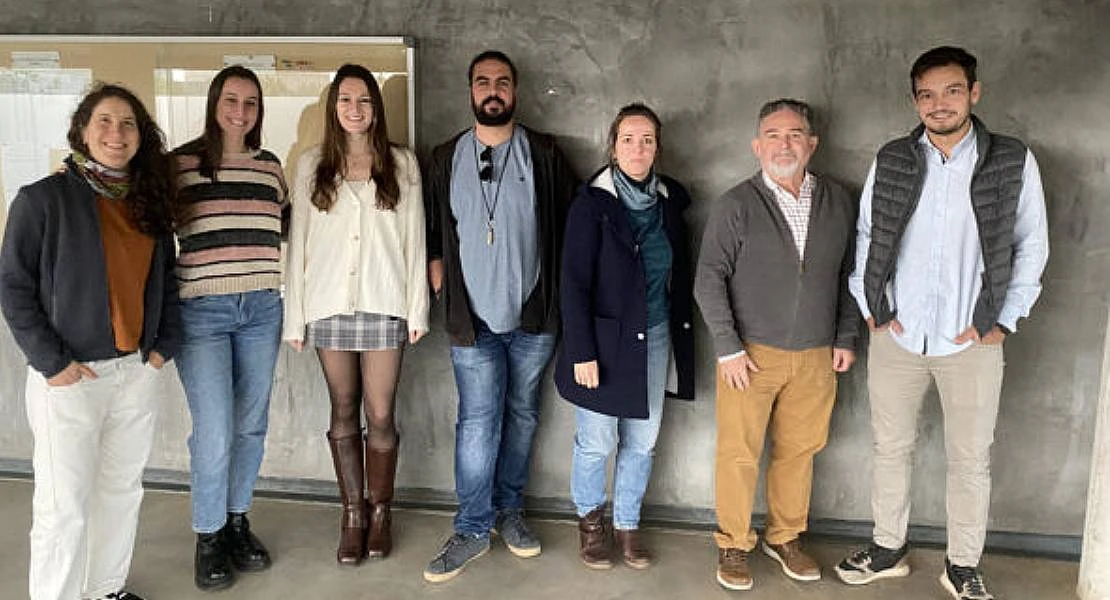 Una investigación de la UEx logra reducir la mortalidad invernal de las abejas