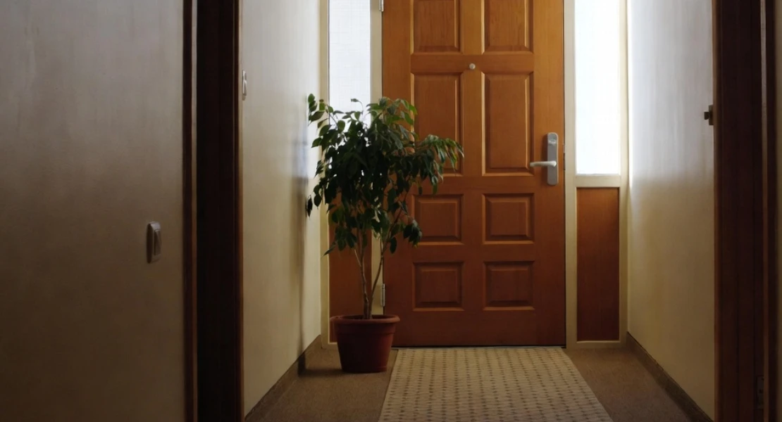 ¿Puedes poner macetas en el rellano de tu edificio? Esto es lo que dice la ley