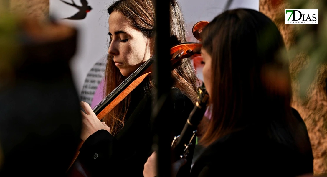 'Paredes que hablan': una exposición que muestra lo que ocurre tras un asesinato por violencia de género
