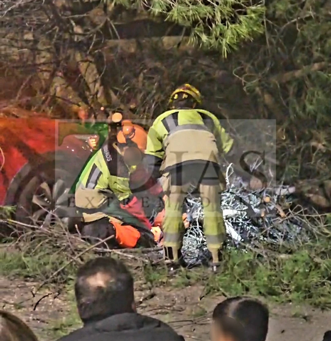 Cae un árbol de grandes dimensiones sobre un coche en Plasencia