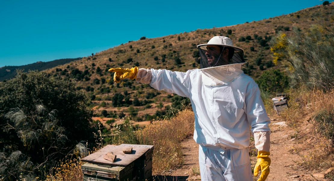 El Gobierno destaca su compromiso con el sector apícola  extremeño