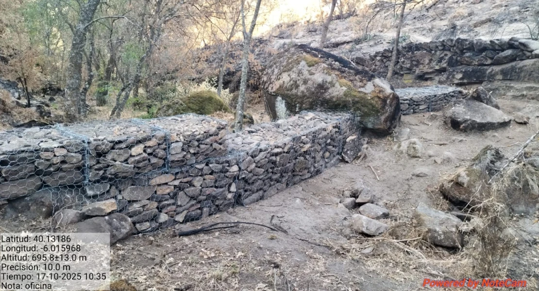 Las medidas de la Junta reducen el arrastre de cenizas procedentes del incendio de Jarilla