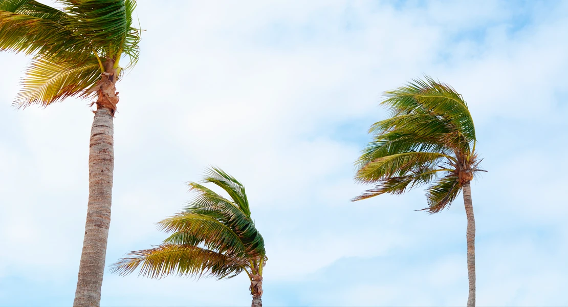 Aemet advierte: alerta amarilla por vientos en varias regiones españolas