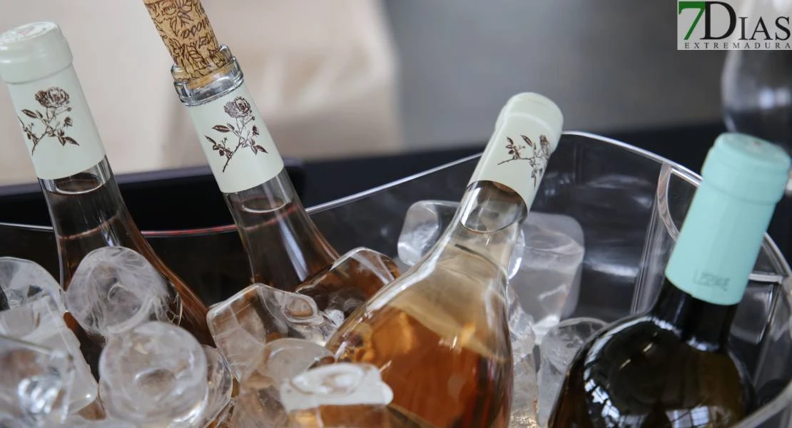 El mundo del vino unido por la solidaridad en el Hotel Río