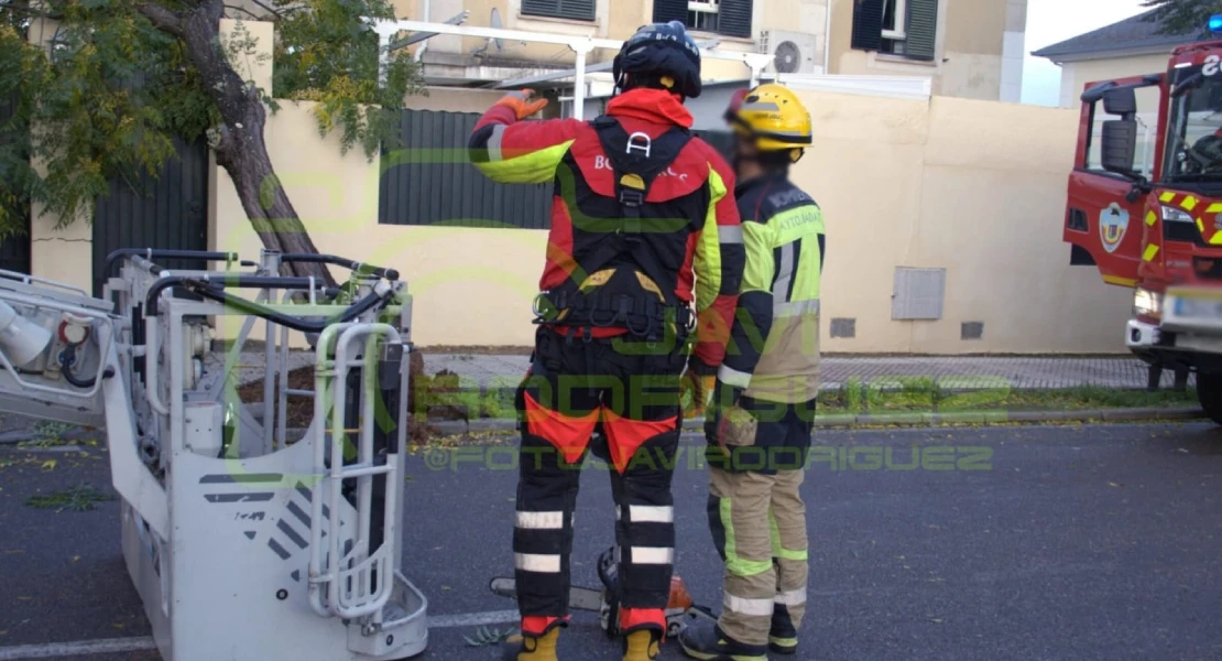 Cae un árbol contra una casa en Las Vaguadas de Badajoz