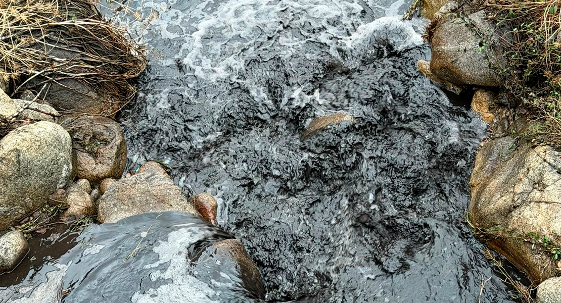 La Junta asegura que el arrastre de cenizas del incendio de Jarilla no ha matado peces