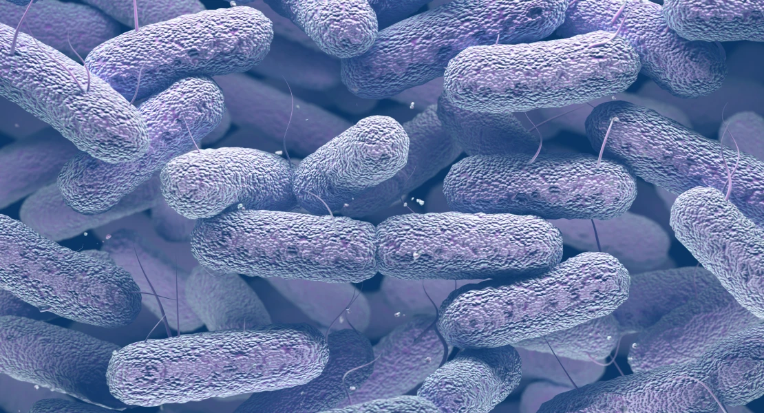 Aumentan los casos de legionelosis en España: cómo evitar esta bacteria
