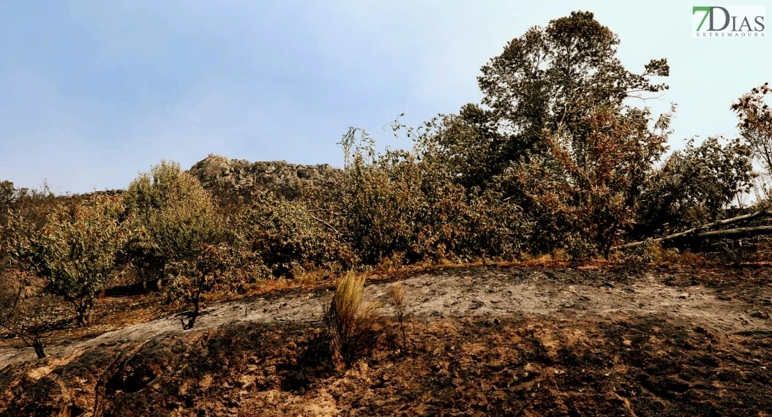 Amplían las ayudas a empresas turísticas afectadas por los incendios del pasado verano