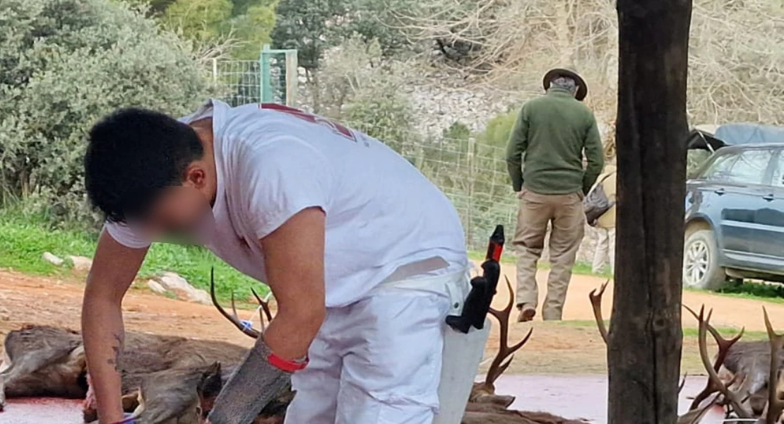 Cambios clave en la normativa de caza: refuerzan el control sanitario de las piezas