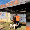 Francisco Delgado es el nuevo campeón de Extremadura de Caza Menor con Perro 2025