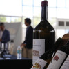 El mundo del vino unido por la solidaridad en el Hotel Río