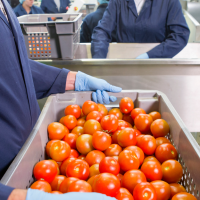 Destinan 28 M€ en ayudas para modernizar la transformación agrícola