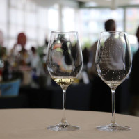 El mundo del vino unido por la solidaridad en el Hotel Río