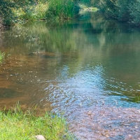 La "controversia" sobre el río Gévora Bajo: ¿restauración o destrucción?