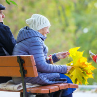 Anuncian cuánto subirán las pensiones en España en 2026