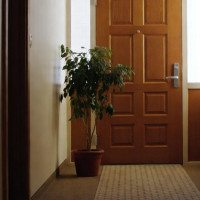 ¿Puedes poner macetas en el rellano de tu edificio? Esto es lo que dice la ley