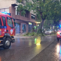 Cae parte de un árbol encima de varios coches en la avenida de Pardaleras