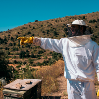 El Gobierno destaca su compromiso con el sector apícola  extremeño