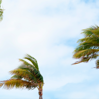 Aemet advierte: alerta amarilla por vientos en varias regiones españolas