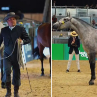 La empresa extremeña Arapre Horses arrasa en el Mundial de Pura Raza Española