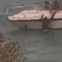 Cae otra organización que favorecía la migración irregular en España