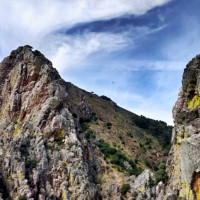 Ecologistas recurre el Plan de Acción Selectiva del Parque Nacional de Monfragüe