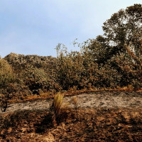 Amplían las ayudas a empresas turísticas afectadas por los incendios del pasado verano