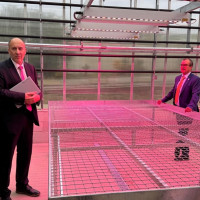 Extremadura amplía la investigación de enfermedades a través de un invernadero climatizado