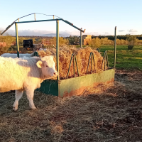 Extremadura paga más de 78 M€ en anticipos de la PAC 2025