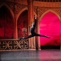 El Lago de los Cisnes regresa al López de Ayala