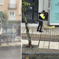 Cortan parte de la avenida Ricardo Carapeto: el temporal tira la decoración de Navidad
