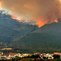 Empresas del Jerte y Las Hurdes entre las beneficiarias de las ayudas por los incendios