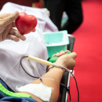 Llamada a donantes de sangre: hospitales y unidades móviles se activan en diciembre