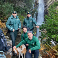 La Guardia Civil rescata un perro atrapado en una cascada en la provincia de Cáceres